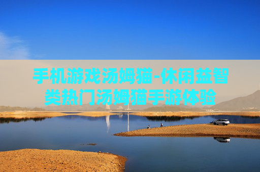 手机游戏汤姆猫-休闲益智类热门汤姆猫手游体验