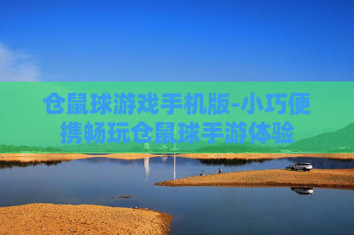 仓鼠球游戏手机版-小巧便携畅玩仓鼠球手游体验