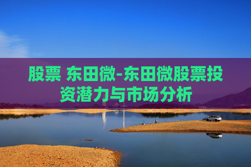 股票 东田微-东田微股票投资潜力与市场分析