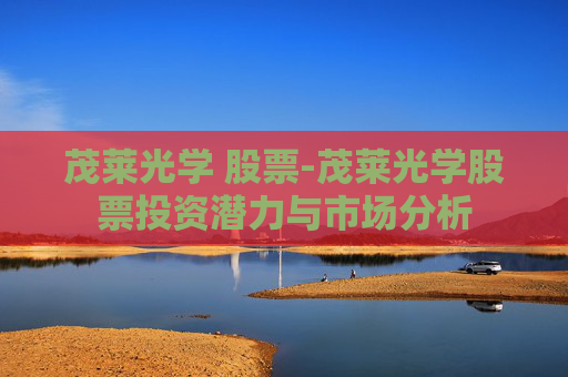 茂莱光学 股票-茂莱光学股票投资潜力与市场分析