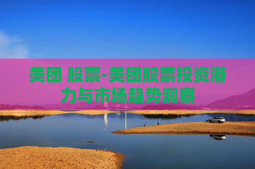 美团 股票-美团股票投资潜力与市场趋势洞察