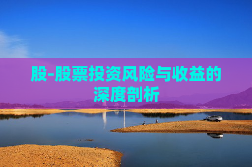 股-股票投资风险与收益的深度剖析 股-股票投资风险与收益的深度剖析
