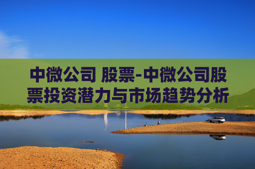 中微公司 股票-中微公司股票投资潜力与市场趋势分析