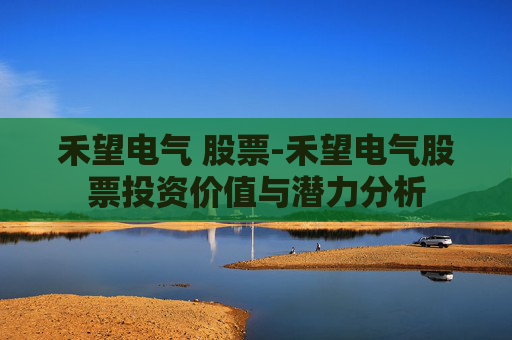禾望电气 股票-禾望电气股票投资价值与潜力分析
