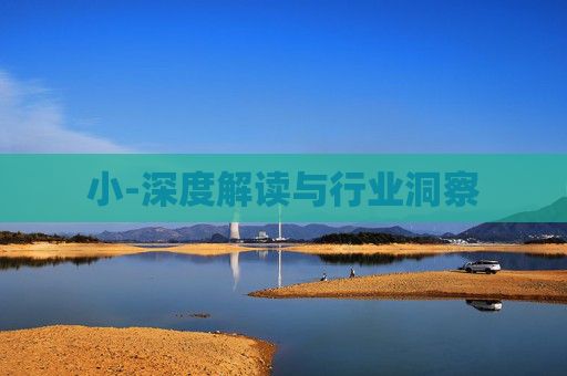 小-深度解读与行业洞察