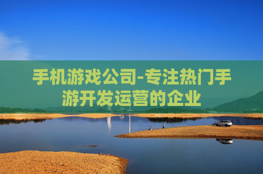 手机游戏公司-专注热门手游开发运营的企业