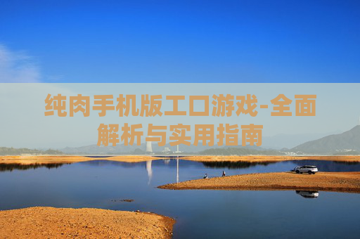 纯肉手机版工口游戏-全面解析与实用指南