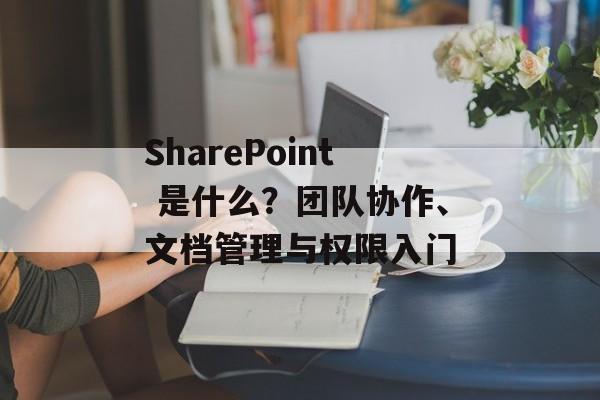 SharePoint 是什么?团队协作、文档管理与权限入门