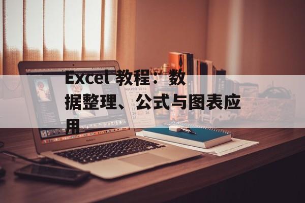 Excel 教程:数据整理、公式与图表应用