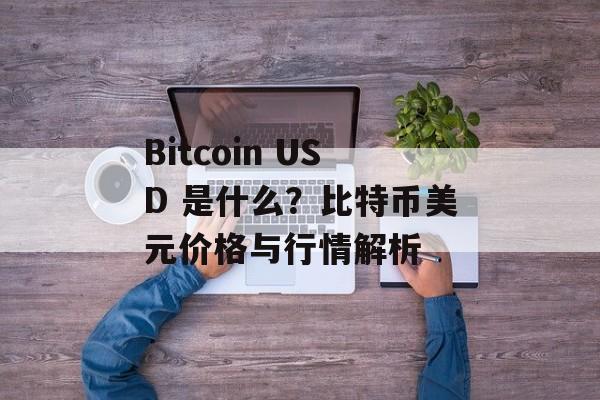 Bitcoin USD 是什么?比特币美元价格与行情解析